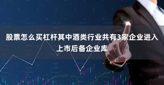 股票怎么买杠杆其中酒类行业共有3家企业进入上市后备企业库