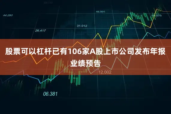 股票可以杠杆已有106家A股上市公司发布年报业绩预告