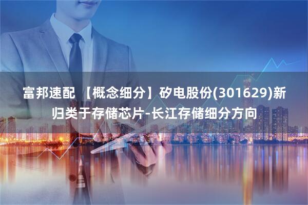 富邦速配 【概念细分】矽电股份(301629)新归类于存储芯片-长江存储细分方向