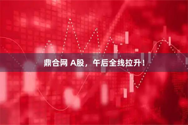 鼎合网 A股，午后全线拉升！