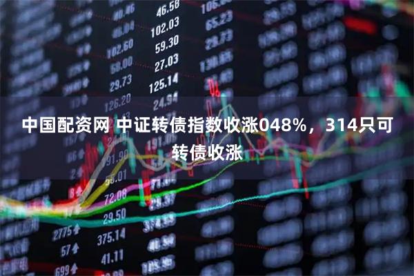 中国配资网 中证转债指数收涨048%，314只可转债收涨