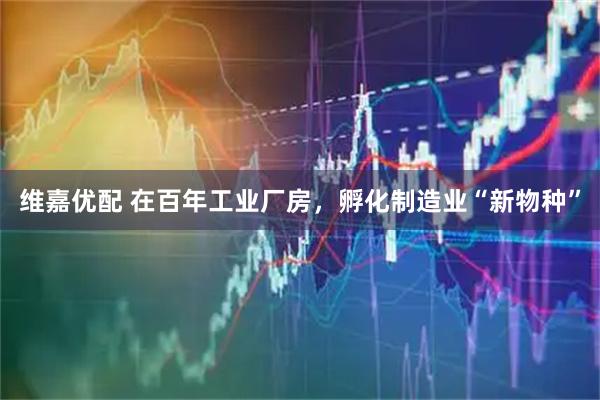 维嘉优配 在百年工业厂房，孵化制造业“新物种”