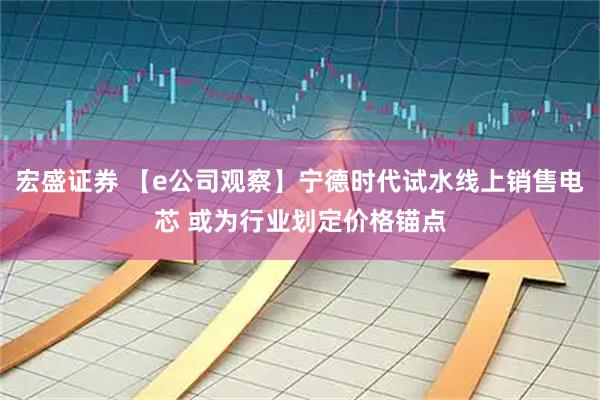 宏盛证券 【e公司观察】宁德时代试水线上销售电芯 或为行业划定价格锚点